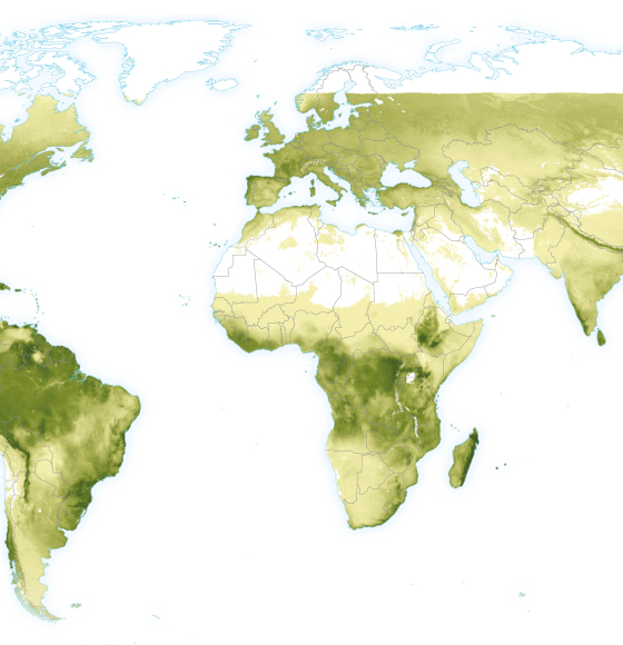 ECOPROPHET: Kwantificering van de productiviteit van continentale ecosystemen