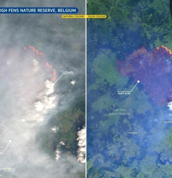 Wildfire in the High Fens nature reserve, Belgium