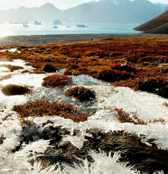 Satellites help untangle the Arctic methane puzzle