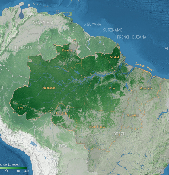 Forest degradation primary driver of carbon loss in the Brazilian Amazon
