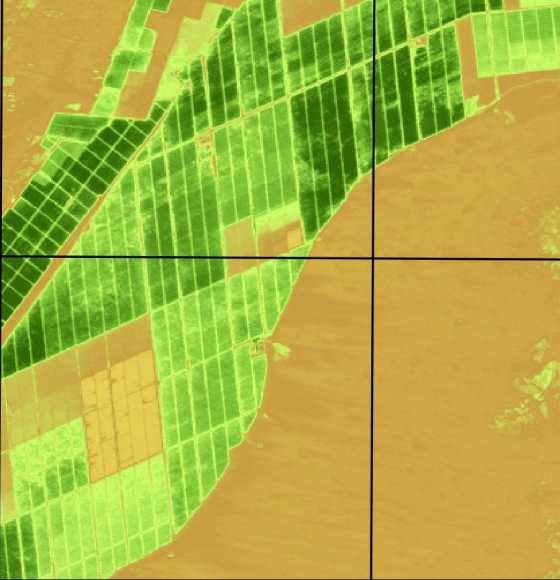 Sentinel data fusion aids asparagus farming in Peru