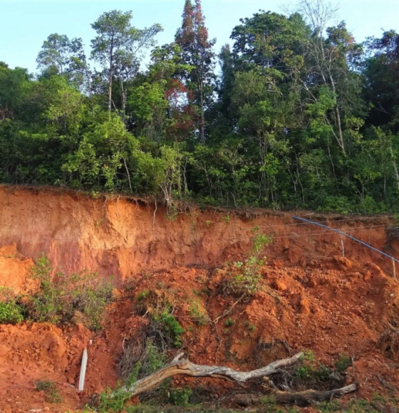 Le Rift du Kivu en proie aux glissements de terrain après déboisement
