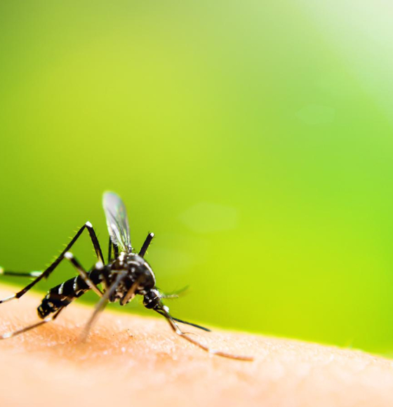 Forecasting and monitoring vector-borne diseases with FARSEER