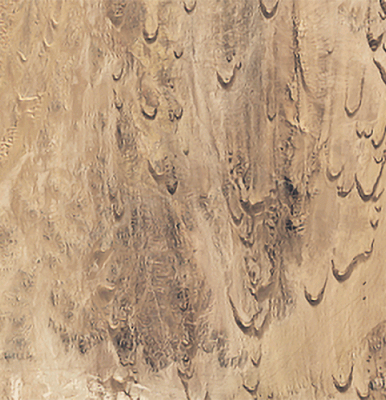 Racing Dunes in Namibia