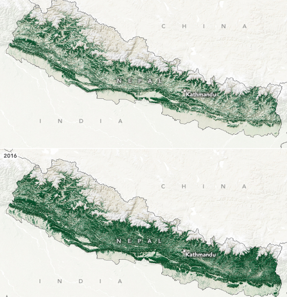 How Nepal Regenerated Its Forests