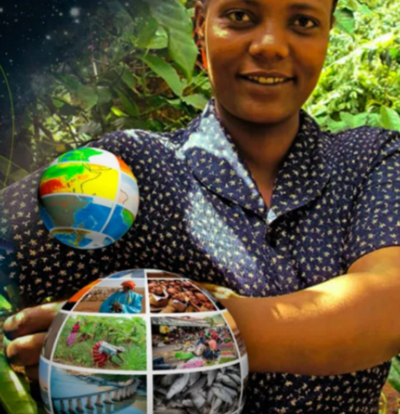 GMES & Africa: Unlocking the power of EO data in Africa with Copernicus