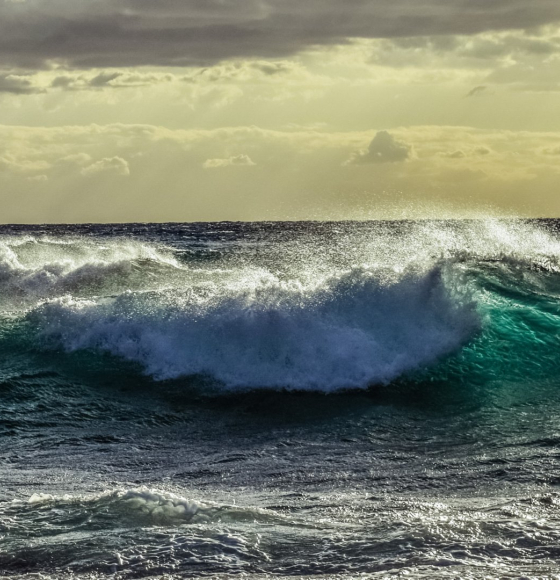 Can Oceans Turn the Tide on the Climate Crisis? 