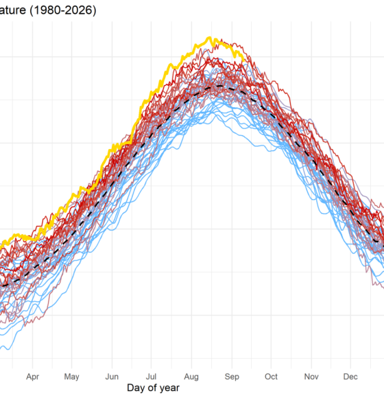 Belgian North Sea sees unprecedented summer marine heatwave