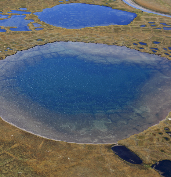 Permafrost thaw could release bacteria and viruses