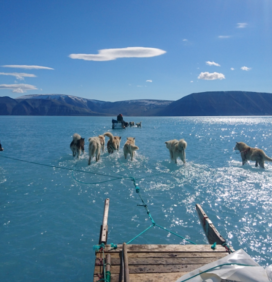 Arctic sea ice minimum 2019 – how did it fare this year?