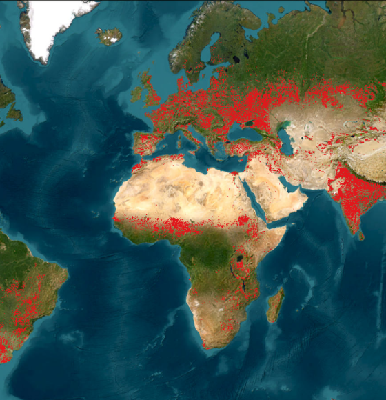 WorldCereal Releases Global Seasonal Crop Type Maps