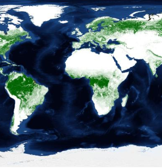 Copernicus Global Land Cover Maps now Available in Google Earth Engine
