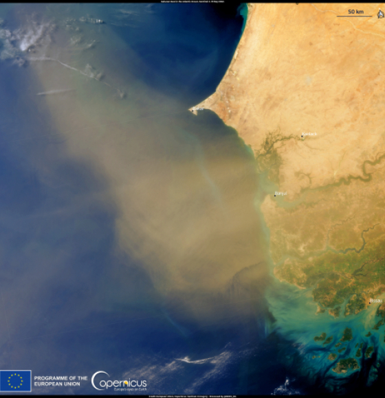 New Saharan dust storm likely to reach the Caribbean
