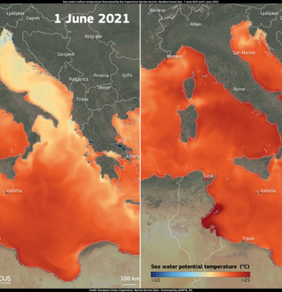 Heatwaves affect the Mediterranean Sea