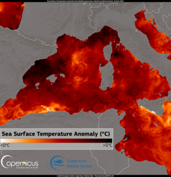 Sea Surface Temperature in the Mediterranean affected by heatwave in southwestern Europe