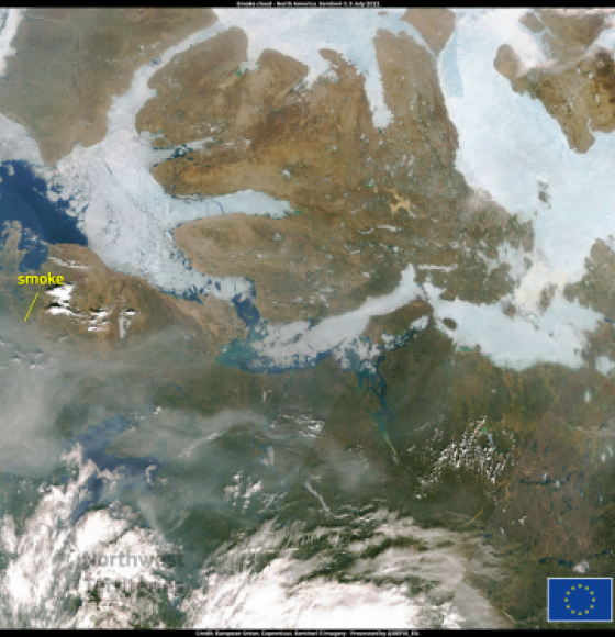 Wildfires in North America affecting air quality in the Arctic