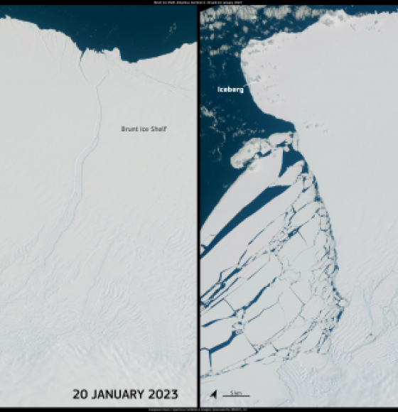 The calving of the Brunt Ice Shelf