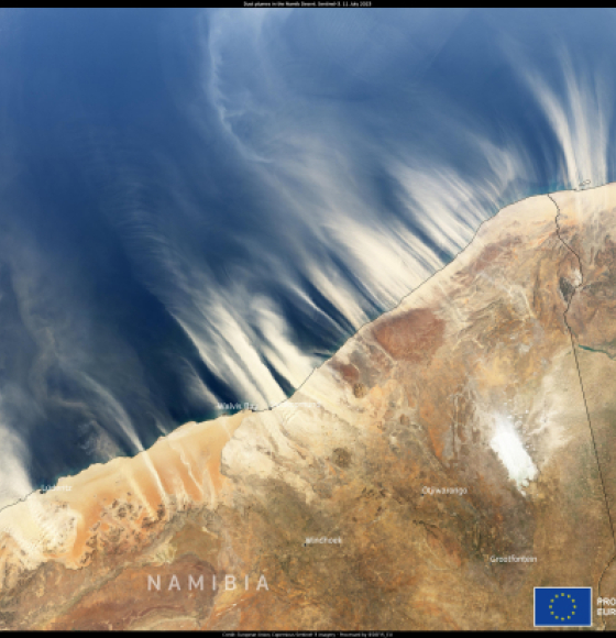 Multiple plumes of dust and sand from the Namib desert