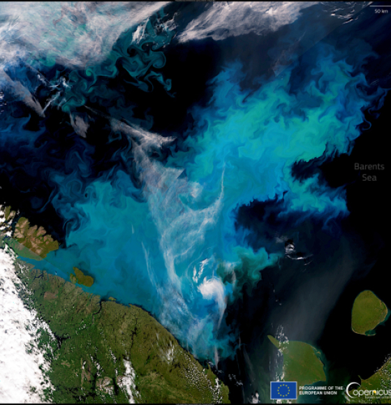 Gorgeous phytoplankton bloom in the Barents Sea