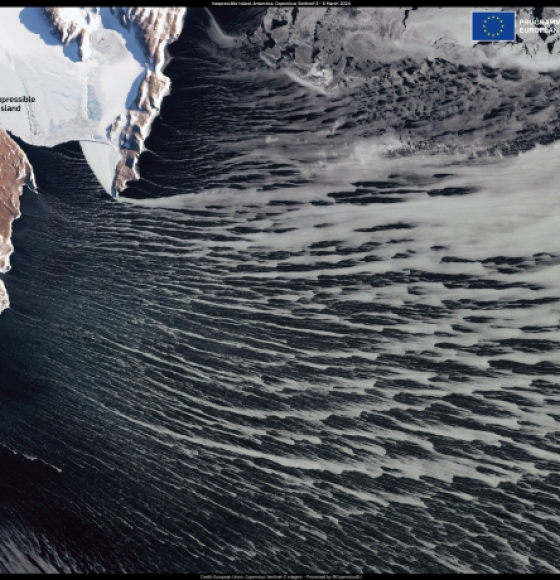 Wind-shaped sea ice in Antarctica
