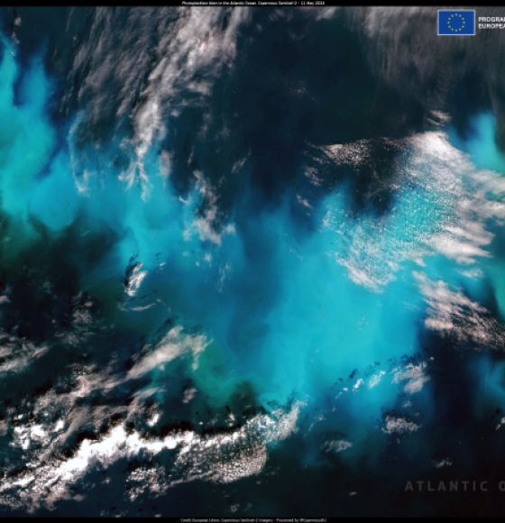 Large phytoplankton bloom in the Atlantic Ocean
