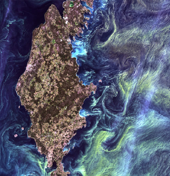 40 ans d’images Landsat