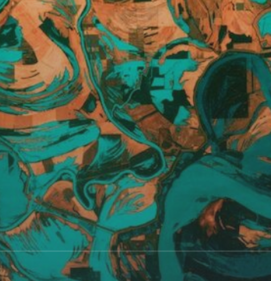 DEEPVEEG project: Can AI show us how ecosystems might respond to climate change?