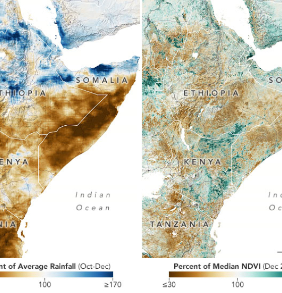 Failed Rainy Seasons Create Food Emergency in Eastern Africa