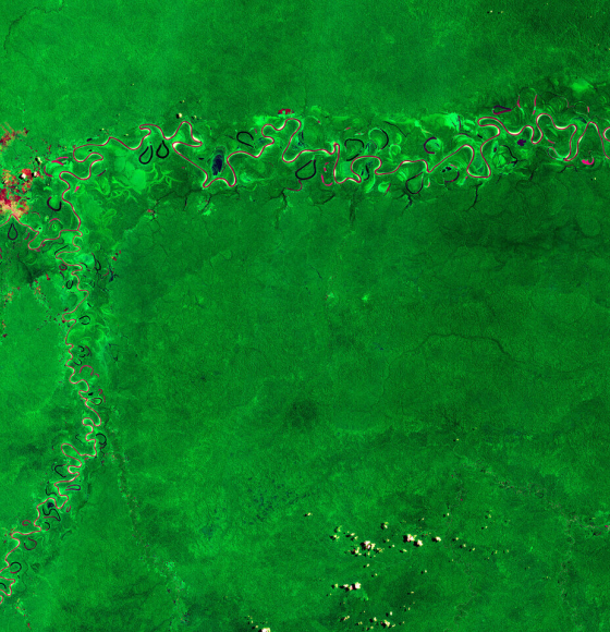 ESA's Earth from Space: Amazon rainforest