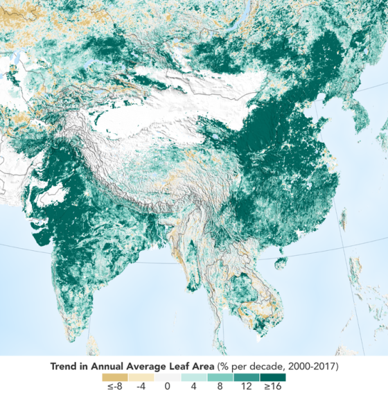 Human Activity in China and India Dominates the Greening of Earth