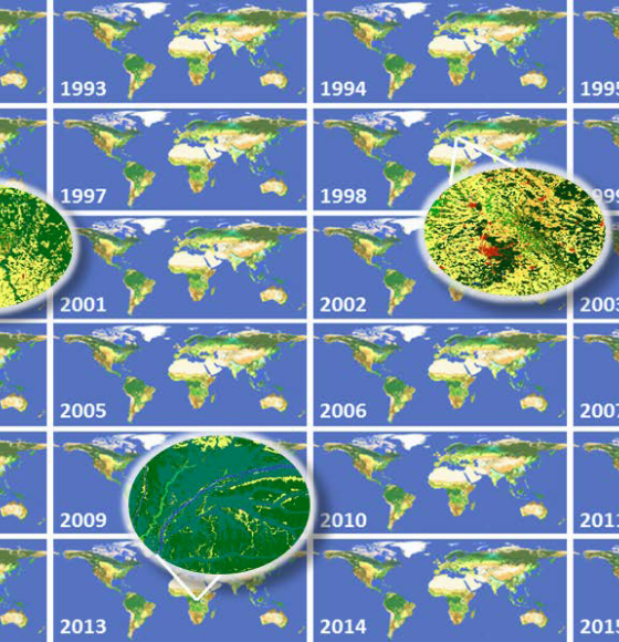 New release of 300 m global CCI Land Cover data - time series 1992-2015