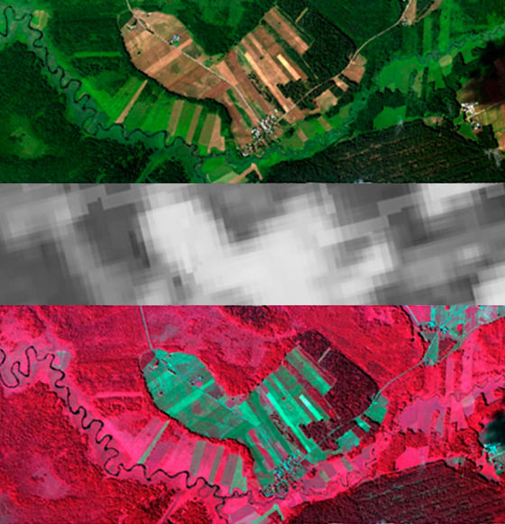 HIWET : Des images satellitaires pour suivre la végétation des zones humides 