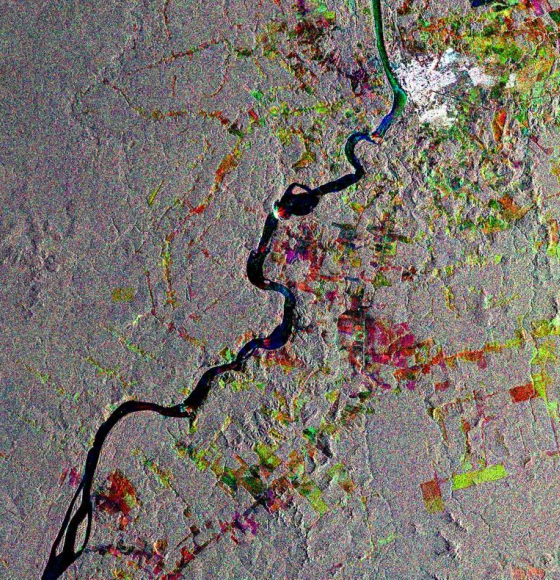 Tracking the world’s forests from space