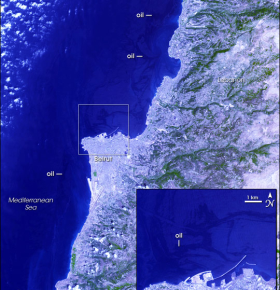 Marée noire au Liban