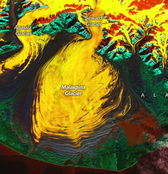 Malaspina Glacier in a Riot of Color