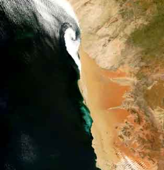 De Namibische kust