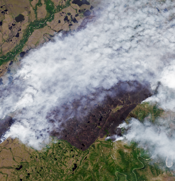 Fires Scorch the Sakha Republic