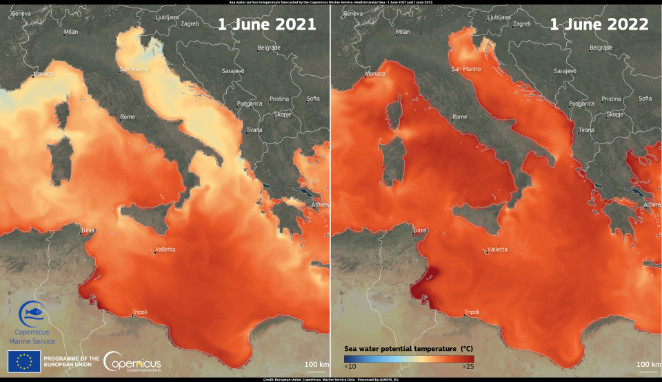 Sea Surface Temperature (SST) forecasts for 1 June 2021 (left) and 1 June 2022 (right). Click here to view the image at its full resolution.