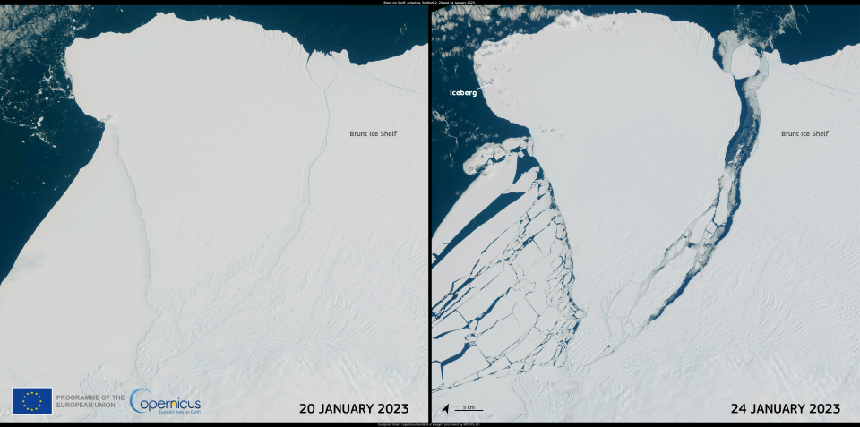 This image was acquired on 20 and 24 January by one of the Copernicus Sentinel-2 satellites and shows the newly formed iceberg, named Chasm1, floating in the Weddell Sea. 	Click here to view the image at full resolution.