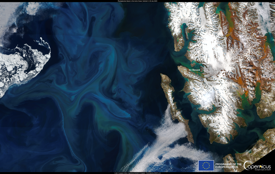 Phytoplankton bloom in the arctic ocean in July 2023Click here to view at full resolution.