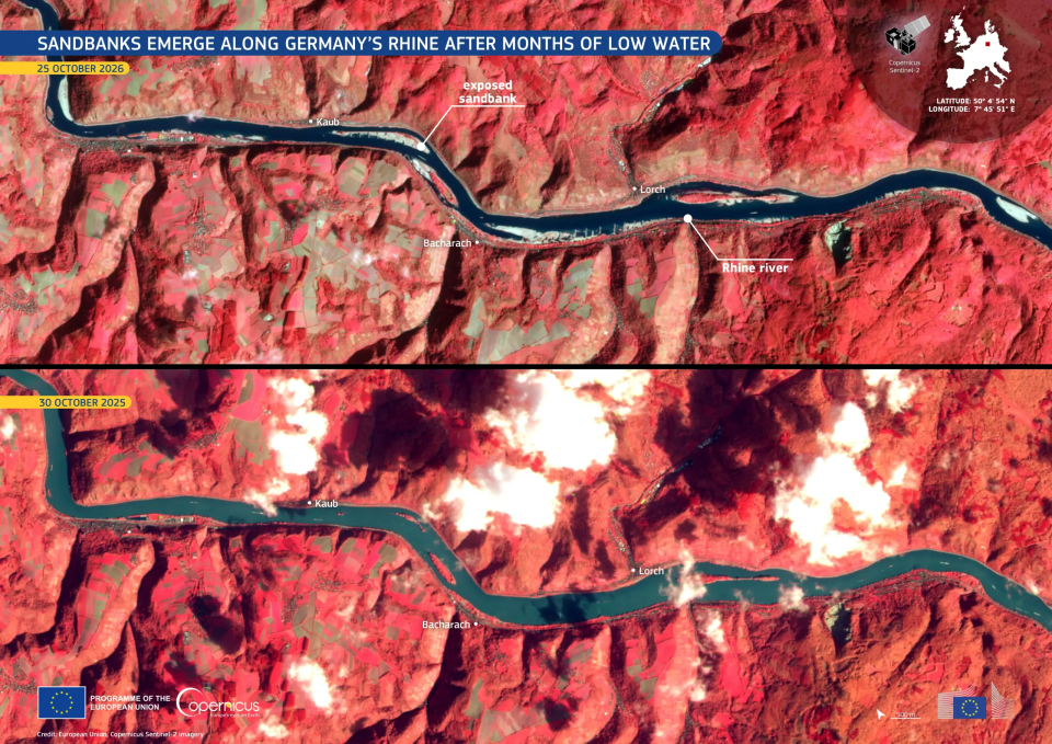 Copernicus Sentinel-2 images compare the Rhine between Kaub and Bingen in October 2026 and October 2025. Large exposed sandbanks are clearly visible in 2026, while the same areas were still covered by water a year earlier. Image: European Union, Copernicus Sentinel-2 imagery