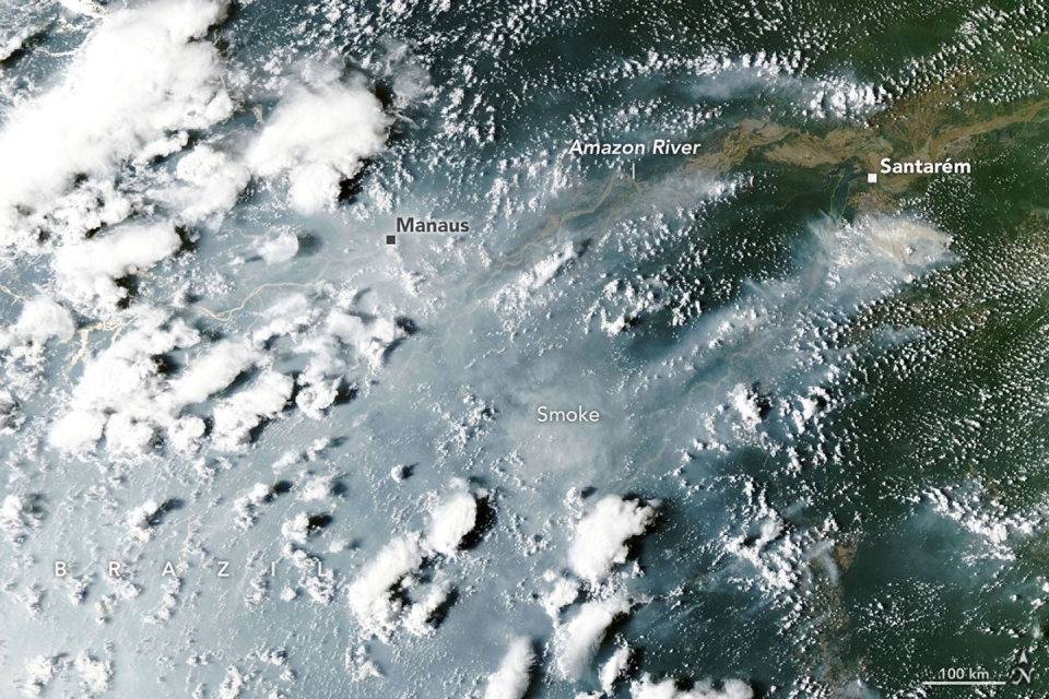 Thick smoke from widespread fires drifts across the Amazon near Manaus and Santarém on 12 October 2026. Prolonged drought linked to El Niño has left large areas of rainforest unusually vulnerable to fire. Image: NASA Earth Observatory/Lauren Dauphin, using MODIS data from NASA EOSDIS LANCE and GIBS/Worldview