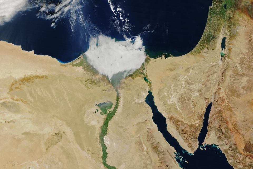 A blanket of morning fog in January made the Nile Delta look like a tuft of cotton.