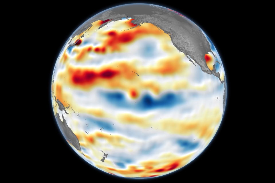 Cool water has welled up in the tropical Pacific in winter 2024–2025. But it may not stick around for long.