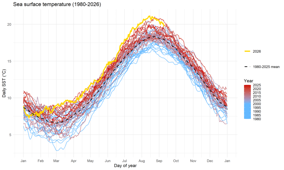 Sea surface temperatures at the Akkaert station in the Belgian Part of the North Sea reached record levels in summer 2026, far exceeding the threshold used to identify marine heatwaves. Image: Institute of Natural Sciences, based on Copernicus data