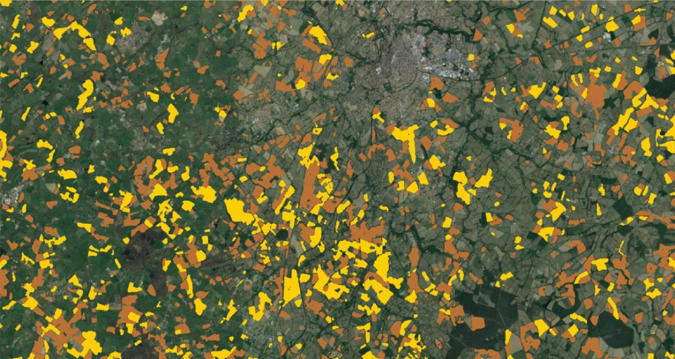 Zoom of crop type maps (yellow mais, brown cereals) in France