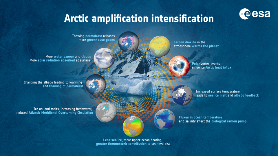 The Arctic is experiencing disproportionately higher temperature increases compared to the rest of the planet, triggering a series of cascading effects known as Arctic amplification.