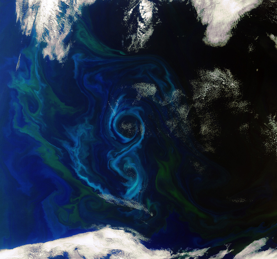 "L'efflorescence du phytoplancton s'enroule en spirale pour dessiner un grand 8  dans l'océan Atlantique Sud, à quelques 600 km à l'est des ïles Falkland".  Image acquise par le capteur Meris d'Envisat le 2 décembre 2011. 