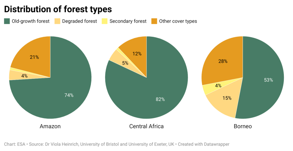 Distribution of forest types