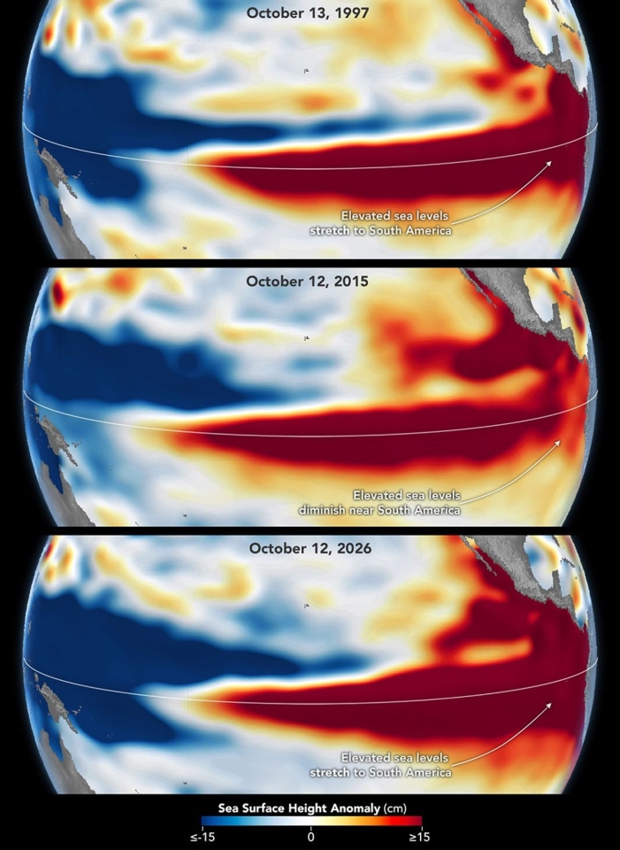 Satellite altimetry reveals how the Pacific sea-level patterns of the major El Niño events of 1997–98, 2015–16 and 2026 compare, highlighting both striking similarities and important differences. Image: NASA Earth Observatory/Lauren Dauphin, using altimetry data provided by NASA/JPL-Caltech